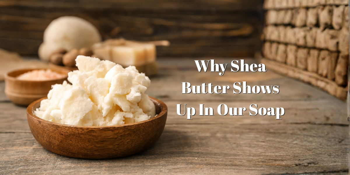 Why Shea Butter Shows Up in Our Soap