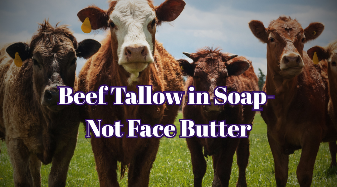 Why We Use Beef Tallow in Soap- Not as Face Butter