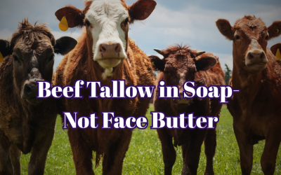 Why We Use Beef Tallow in Soap- Not as Face Butter