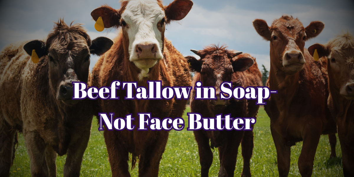 Why We Use Beef Tallow in Soap- Not as Face Butter